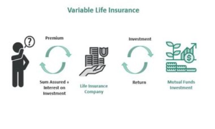 How does a typical variable life policy investment?