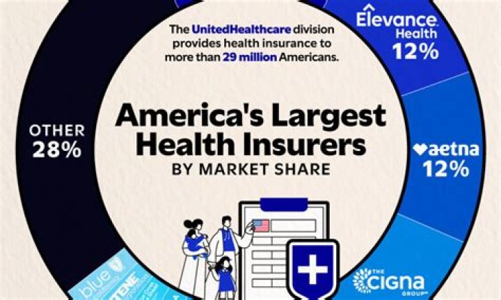 How much profit do health insurers make?