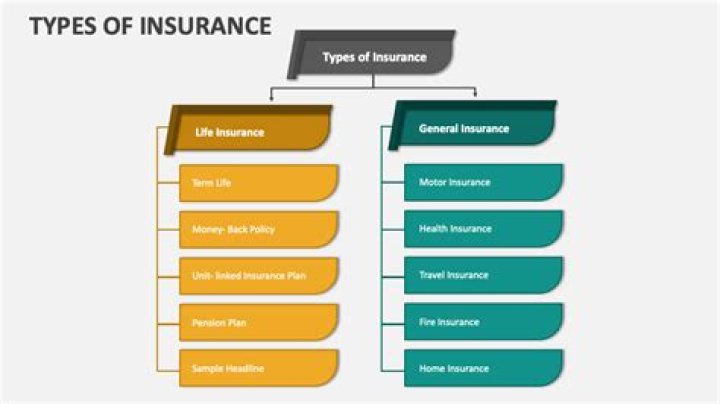 What are examples of types of insurance?