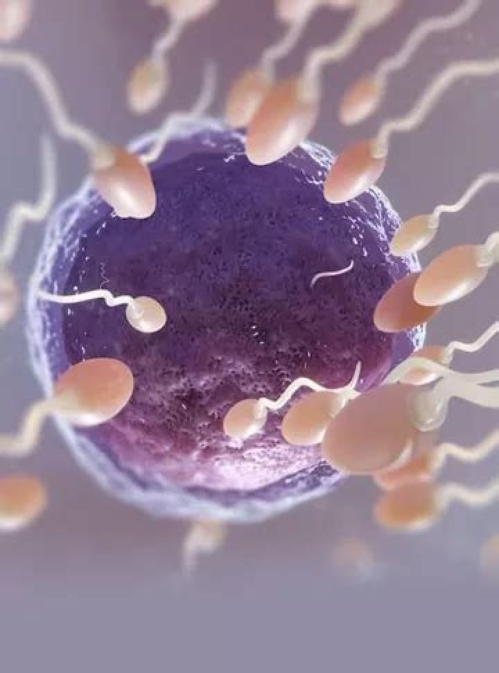 What happens when there is too much cell growth?