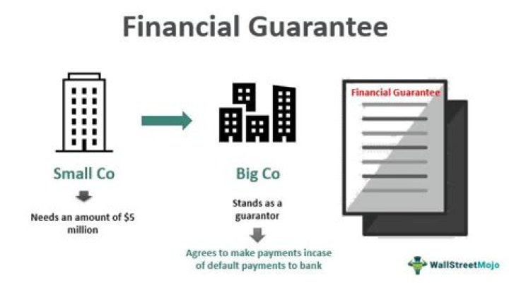 What is a financial guarantee company?