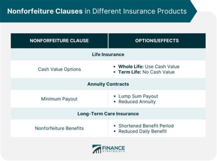 What is non forfeiture in insurance?