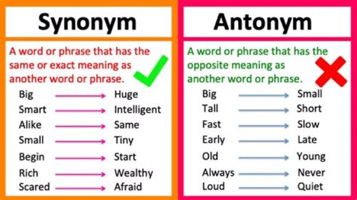 What is the antonym of dividend?