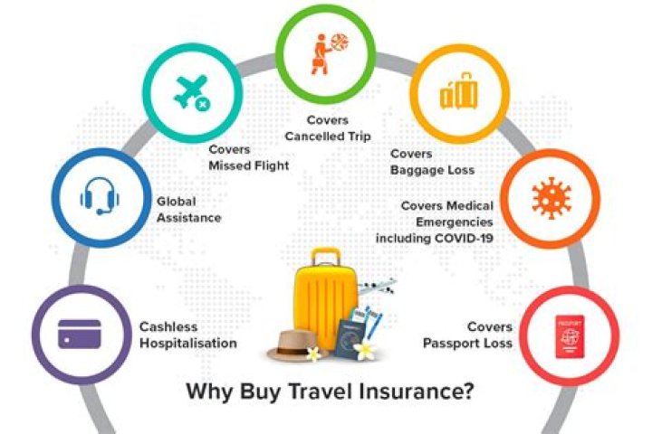 What is the process of travel insurance?