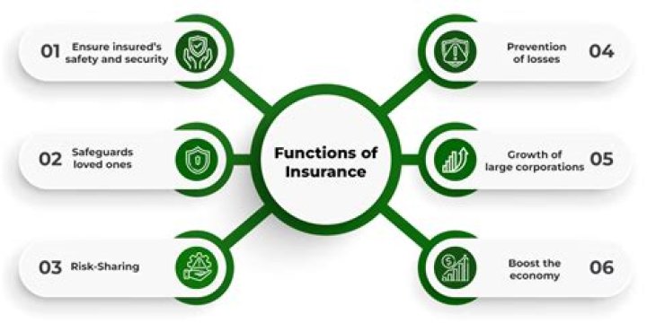 What is the purpose of an insurance application?