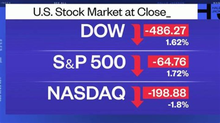 What percentage did the stock market drop in 2009?