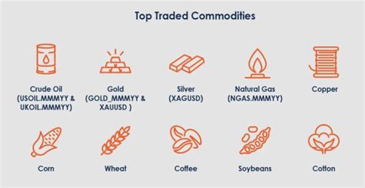 What were the commodities used for trade in Roman Empire?