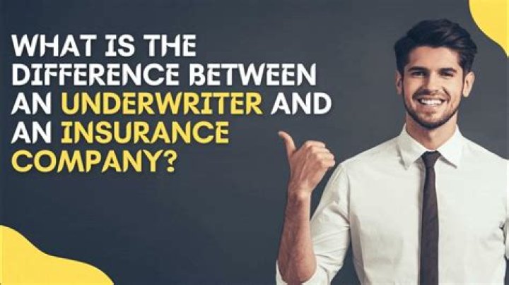 Who are the main insurance underwriters?