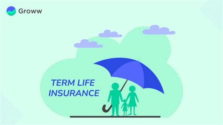 Who is the largest provider of term life insurance?