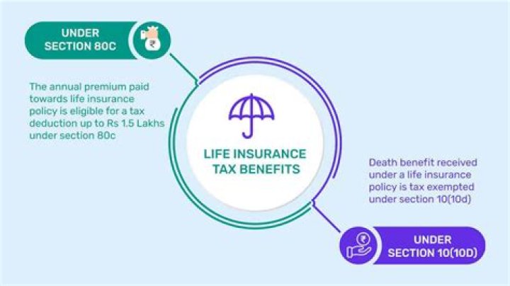 Who is the logical candidate for life insurance?